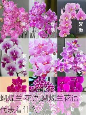 蝴蝶兰 花语,蝴蝶兰花语代表着什么