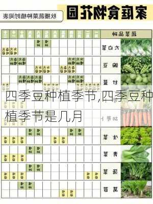 四季豆种植季节,四季豆种植季节是几月