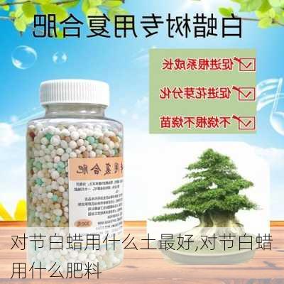 对节白蜡用什么土最好,对节白蜡用什么肥料