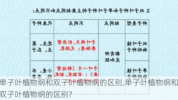单子叶植物纲和双子叶植物纲的区别,单子叶植物纲和双子叶植物纲的区别?