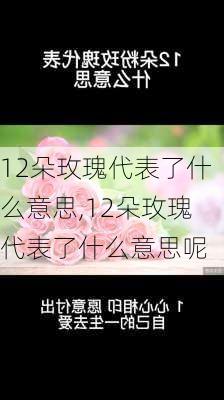 12朵玫瑰代表了什么意思,12朵玫瑰代表了什么意思呢