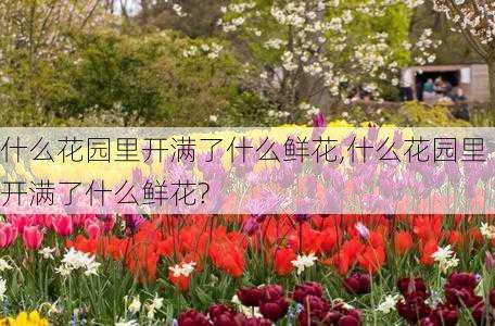 什么花园里开满了什么鲜花,什么花园里开满了什么鲜花?