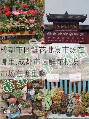 成都市区鲜花批发市场在哪里,成都市区鲜花批发市场在哪里啊