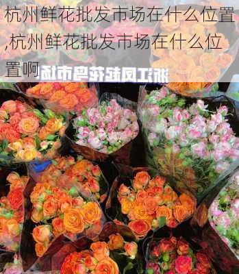 杭州鲜花批发市场在什么位置,杭州鲜花批发市场在什么位置啊