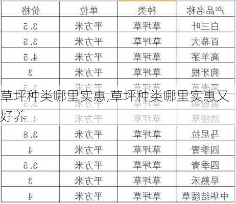 草坪种类哪里实惠,草坪种类哪里实惠又好养