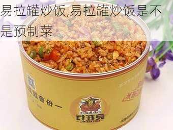 易拉罐炒饭,易拉罐炒饭是不是预制菜