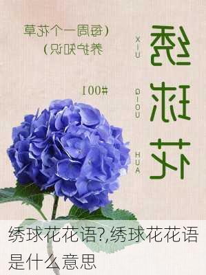 绣球花花语?,绣球花花语是什么意思