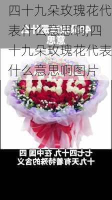 四十九朵玫瑰花代表什么意思啊,四十九朵玫瑰花代表什么意思啊图片