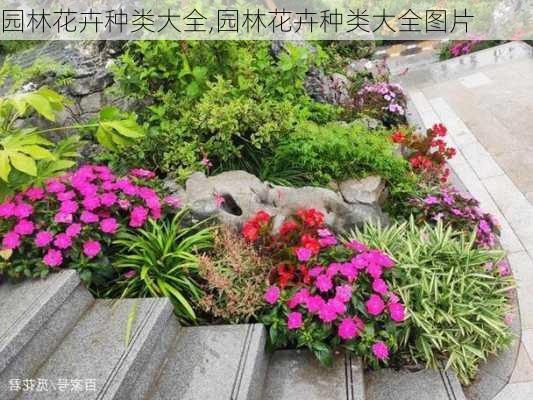 园林花卉种类大全,园林花卉种类大全图片