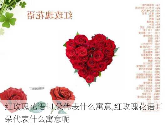 红玫瑰花语11朵代表什么寓意,红玫瑰花语11朵代表什么寓意呢