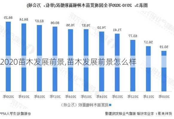 2020苗木发展前景,苗木发展前景怎么样