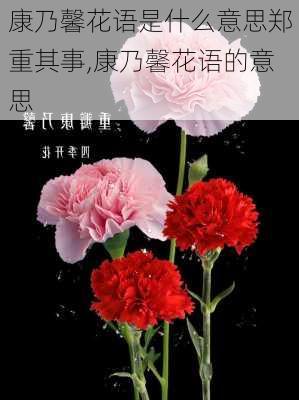 康乃馨花语是什么意思郑重其事,康乃馨花语的意思