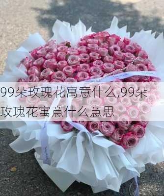 99朵玫瑰花寓意什么,99朵玫瑰花寓意什么意思