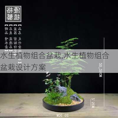 水生植物组合盆栽,水生植物组合盆栽设计方案