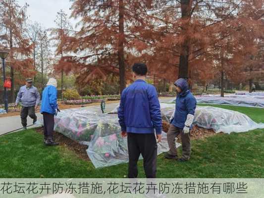 花坛花卉防冻措施,花坛花卉防冻措施有哪些