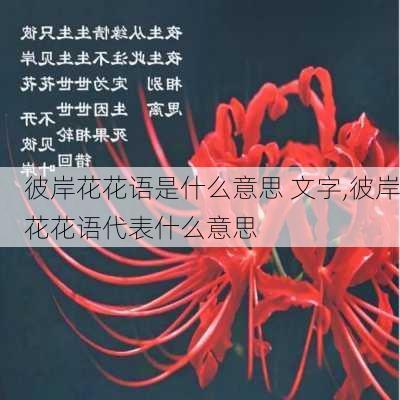 彼岸花花语是什么意思 文字,彼岸花花语代表什么意思