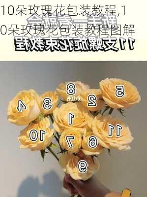 10朵玫瑰花包装教程,10朵玫瑰花包装教程图解