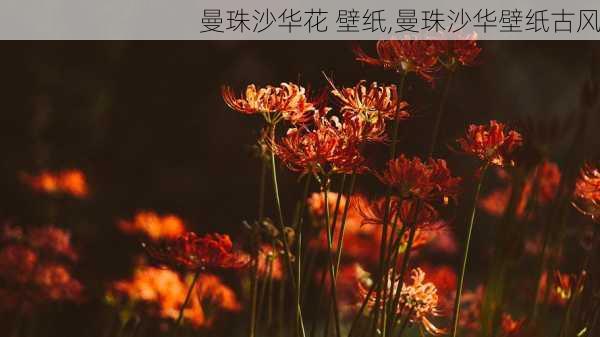 曼珠沙华花 壁纸,曼珠沙华壁纸古风