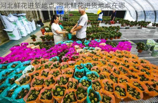 河北鲜花进货地点,河北鲜花进货地点在哪