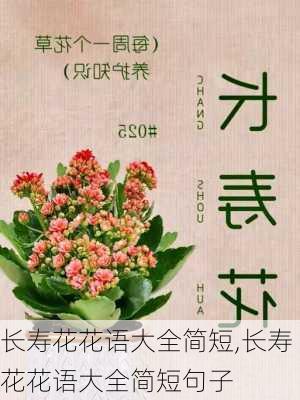 长寿花花语大全简短,长寿花花语大全简短句子