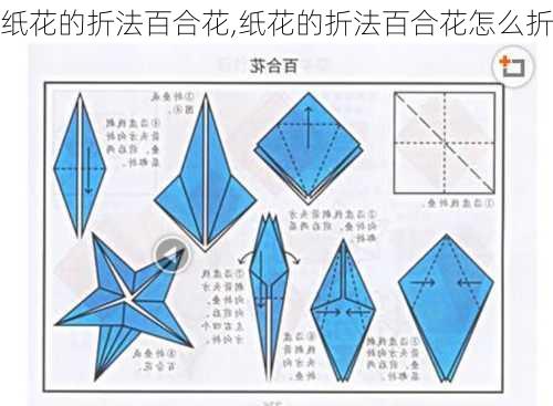 纸花的折法百合花,纸花的折法百合花怎么折