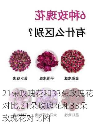 21朵玫瑰花和33朵玫瑰花对比,21朵玫瑰花和33朵玫瑰花对比图