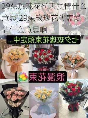 29朵玫瑰花代表爱情什么意思,29朵玫瑰花代表爱情什么意思啊