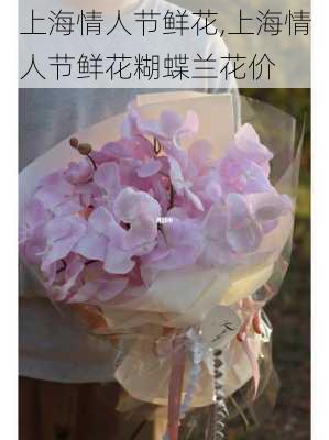 上海情人节鲜花,上海情人节鲜花糊蝶兰花价