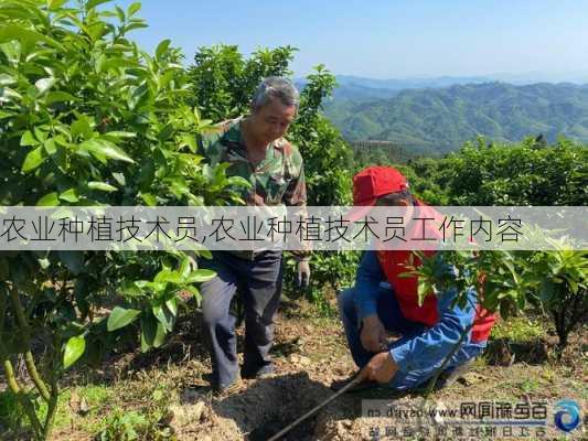 农业种植技术员,农业种植技术员工作内容