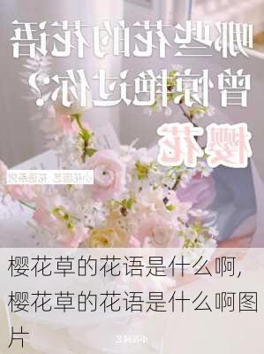 樱花草的花语是什么啊,樱花草的花语是什么啊图片