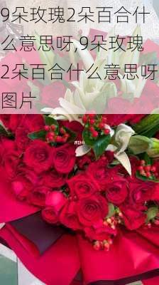 9朵玫瑰2朵百合什么意思呀,9朵玫瑰2朵百合什么意思呀图片