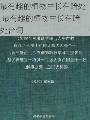 最有趣的植物生长在暗处,最有趣的植物生长在暗处台词