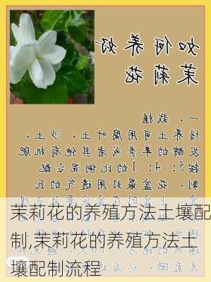 茉莉花的养殖方法土壤配制,茉莉花的养殖方法土壤配制流程