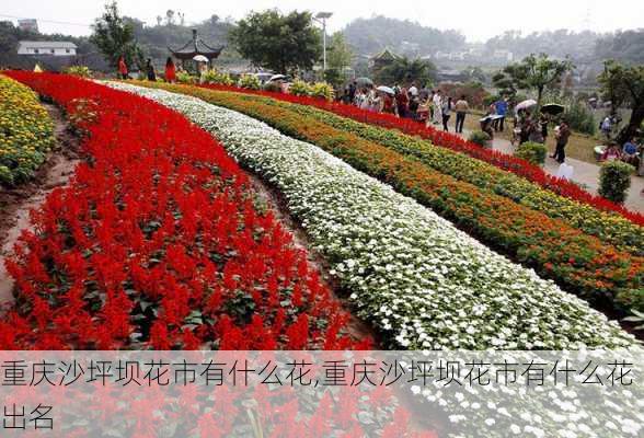 重庆沙坪坝花市有什么花,重庆沙坪坝花市有什么花出名