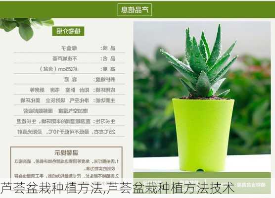 芦荟盆栽种植方法,芦荟盆栽种植方法技术