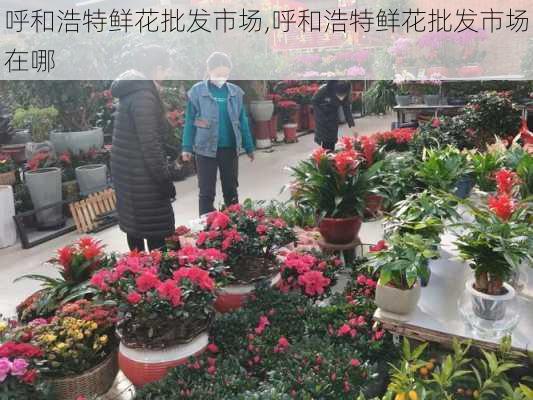 呼和浩特鲜花批发市场,呼和浩特鲜花批发市场在哪