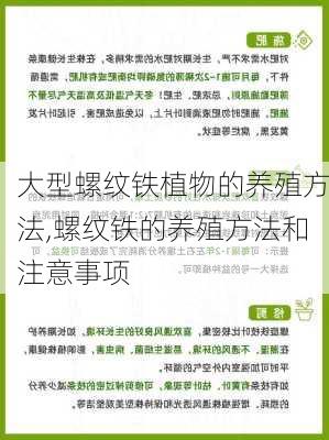 大型螺纹铁植物的养殖方法,螺纹铁的养殖方法和注意事项