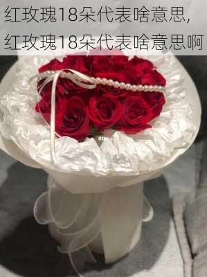 红玫瑰18朵代表啥意思,红玫瑰18朵代表啥意思啊