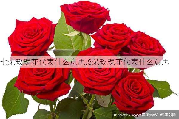 七朵玫瑰花代表什么意思,6朵玫瑰花代表什么意思