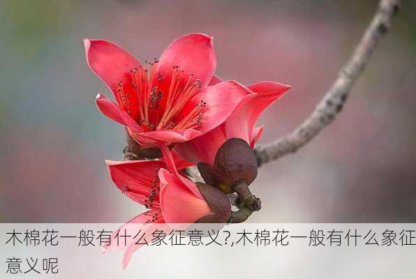 木棉花一般有什么象征意义?,木棉花一般有什么象征意义呢