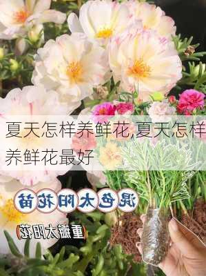 夏天怎样养鲜花,夏天怎样养鲜花最好