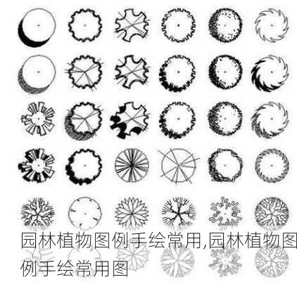 园林植物图例手绘常用,园林植物图例手绘常用图