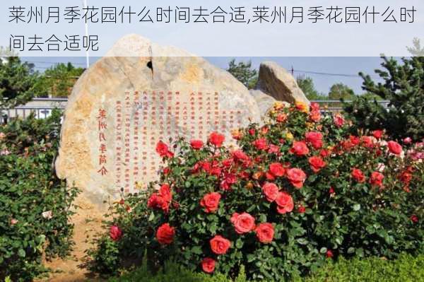 莱州月季花园什么时间去合适,莱州月季花园什么时间去合适呢