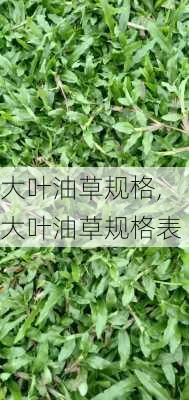 大叶油草规格,大叶油草规格表