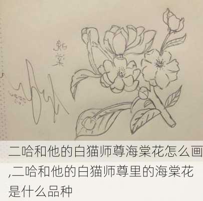 二哈和他的白猫师尊海棠花怎么画,二哈和他的白猫师尊里的海棠花是什么品种