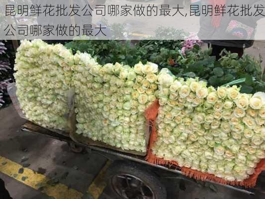 昆明鲜花批发公司哪家做的最大,昆明鲜花批发公司哪家做的最大