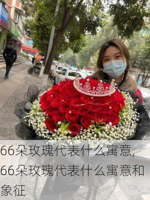 66朵玫瑰代表什么寓意,66朵玫瑰代表什么寓意和象征