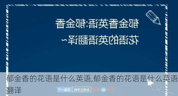 郁金香的花语是什么英语,郁金香的花语是什么英语翻译