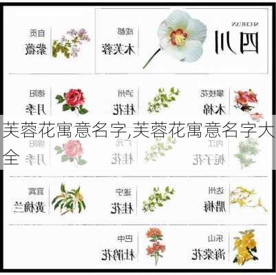 芙蓉花寓意名字,芙蓉花寓意名字大全