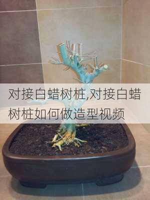 对接白蜡树桩,对接白蜡树桩如何做造型视频